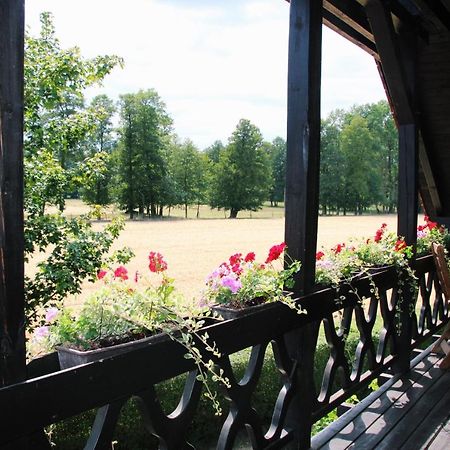 Landgasthof Zur Wildbahn Burg  Extérieur photo