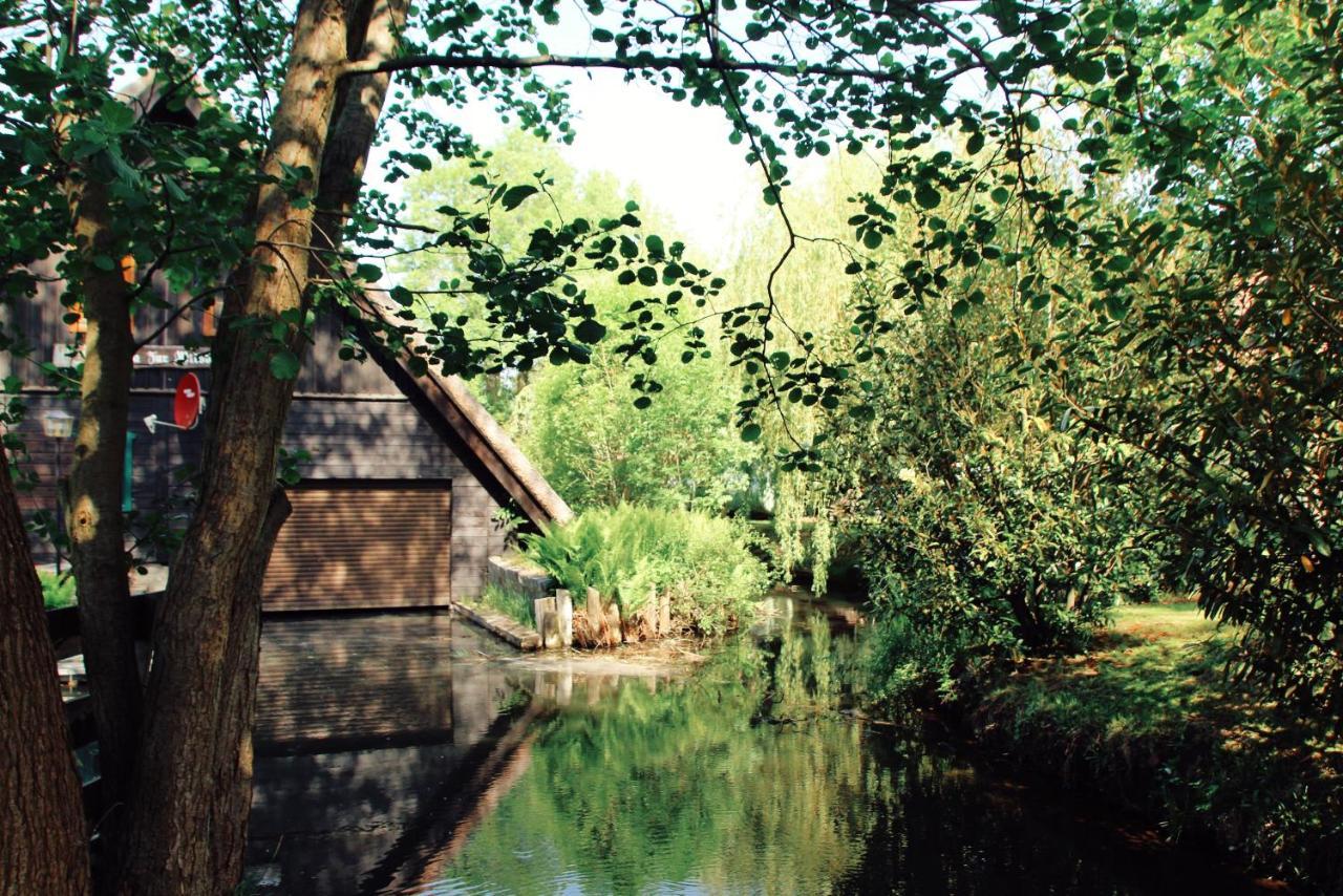 Landgasthof Zur Wildbahn Burg  Extérieur photo