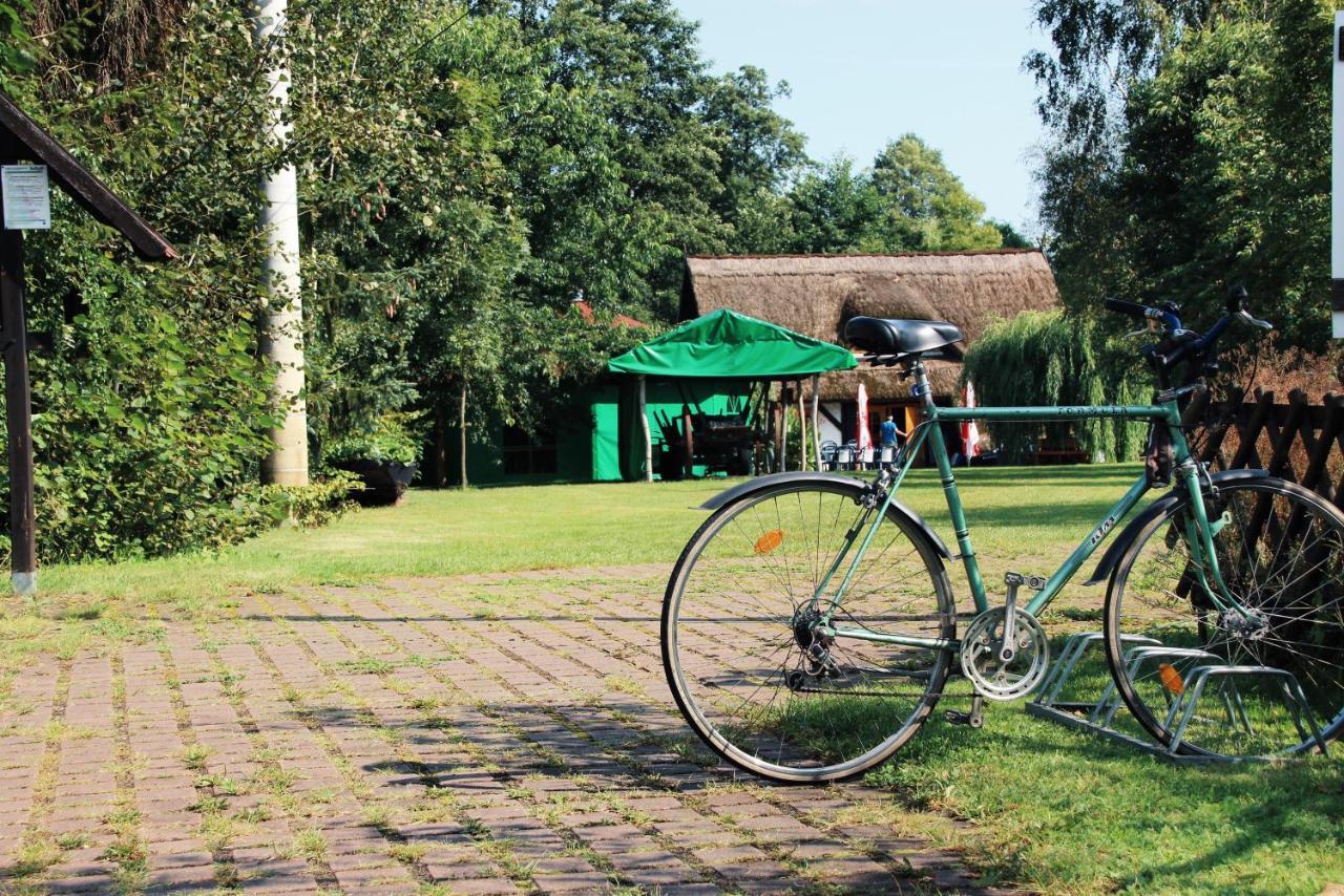 Landgasthof Zur Wildbahn Burg  Extérieur photo