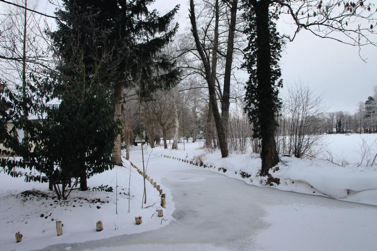 Landgasthof Zur Wildbahn Burg  Extérieur photo